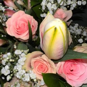 Meet your Posher, Ilianna